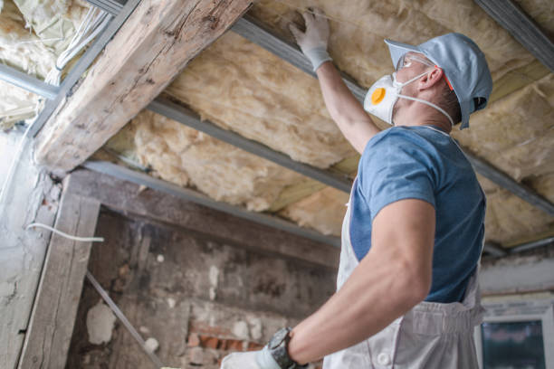 Best Insulation Installation Services in Stewartville, MN