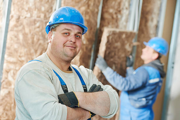 Best Commercial Insulation in Stewartville, MN