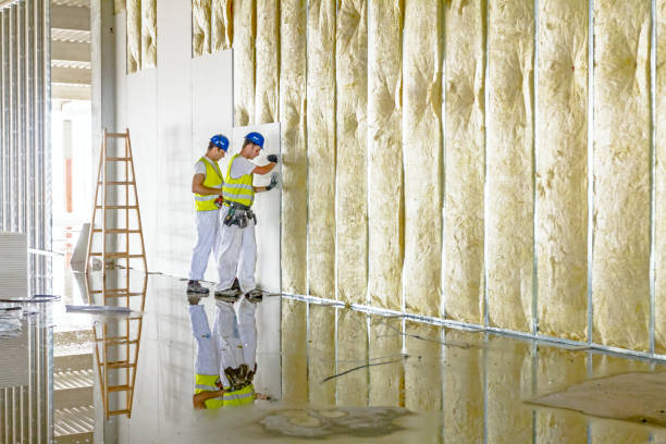 Best Insulation for Specific Applications in Stewartville, MN